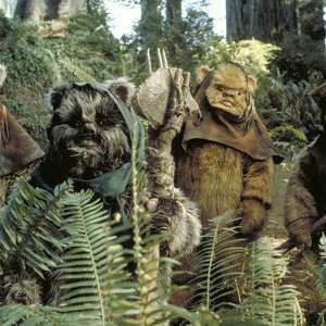 Team Page: The Ewok-ers